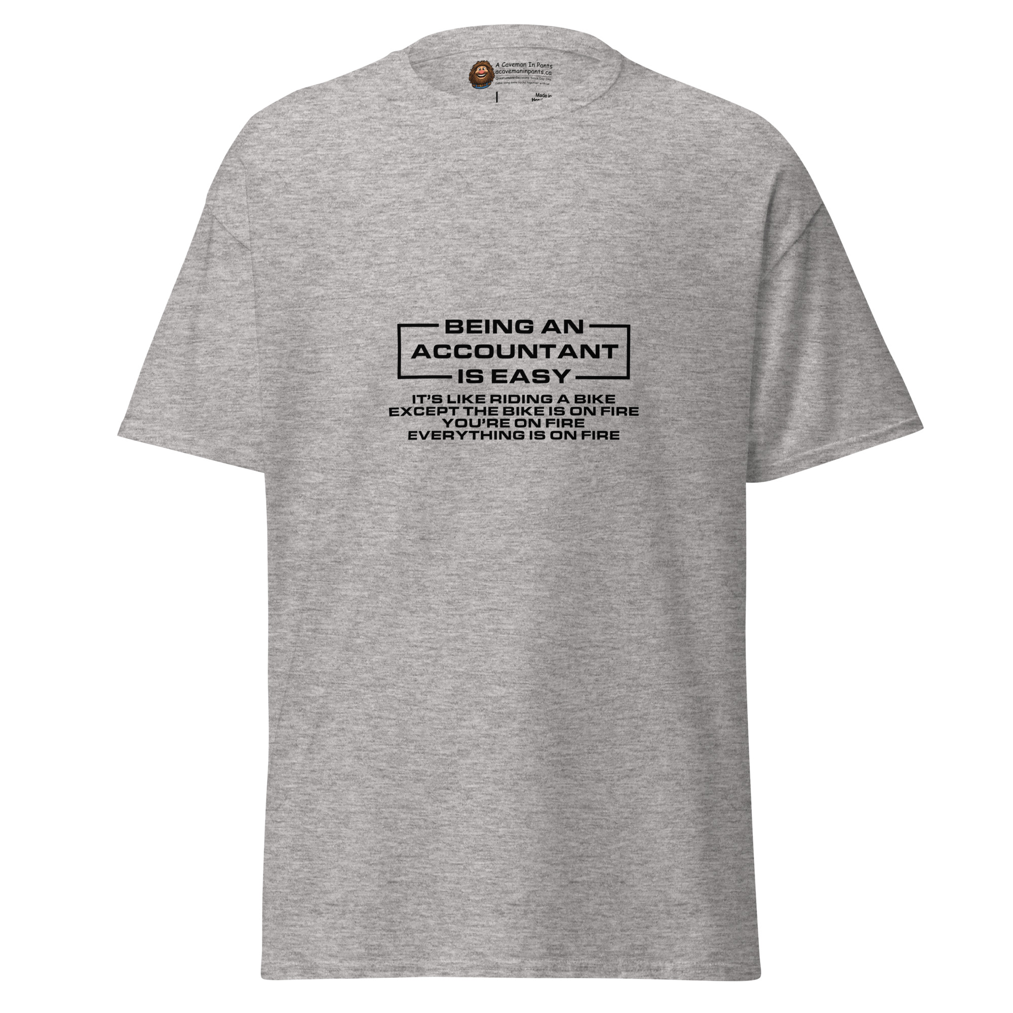 Being an Accountant tee
